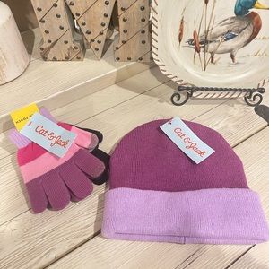 NWT- Cat and Jack Toddler hat and gloves set